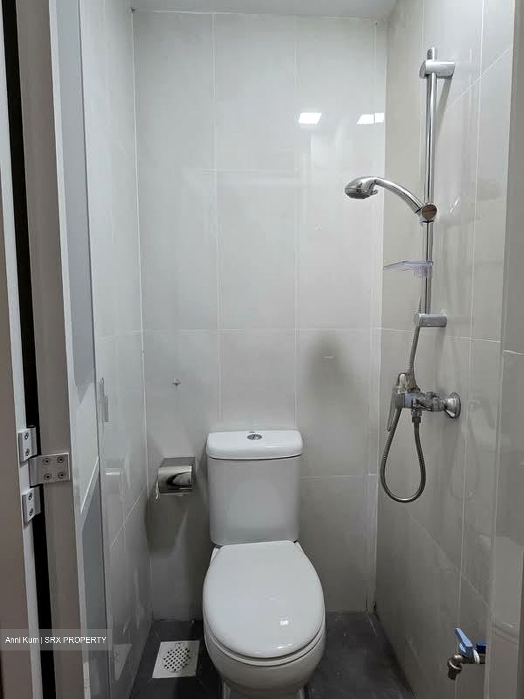 Spring Grove (D10), Condominium #528004861